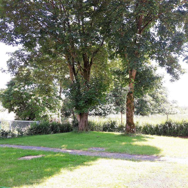 Landferien Eifel Daire Pittenbach Dış mekan fotoğraf