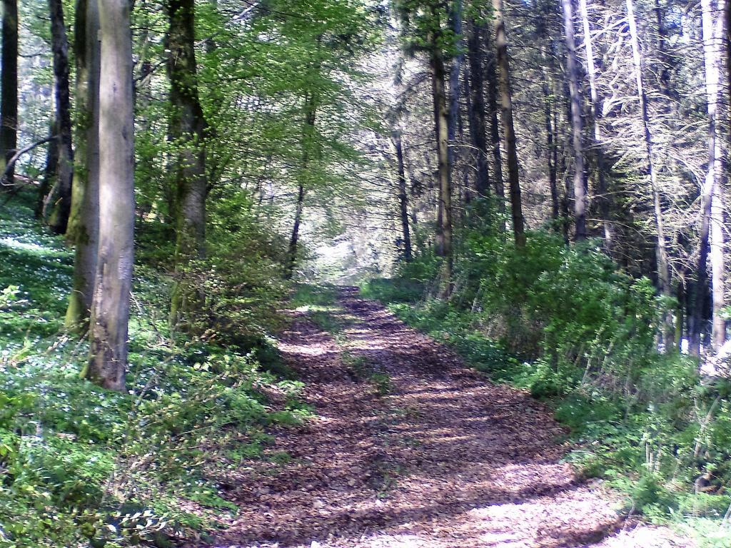 Landferien Eifel Daire Pittenbach Dış mekan fotoğraf