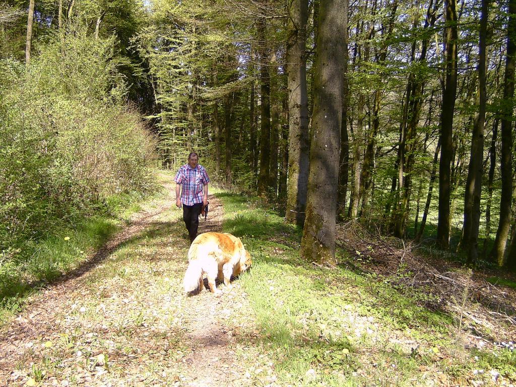 Landferien Eifel Daire Pittenbach Dış mekan fotoğraf