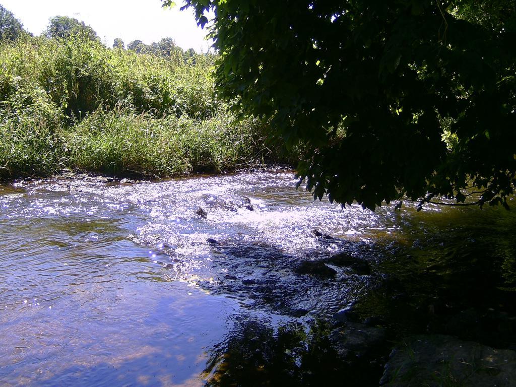 Landferien Eifel Daire Pittenbach Dış mekan fotoğraf