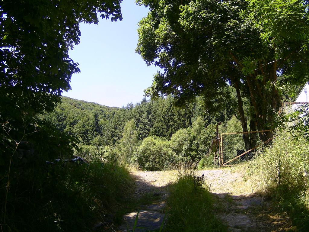 Landferien Eifel Daire Pittenbach Dış mekan fotoğraf